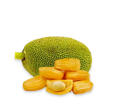 Jackfruit Peeled (250g)